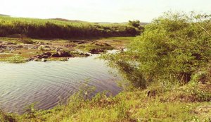 Rio que passa por várias cidades alagoanas está seco devido à estiagem