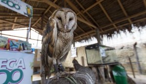 Crescimento do turismo em Maragogi possibilita chegada de novos investimentos