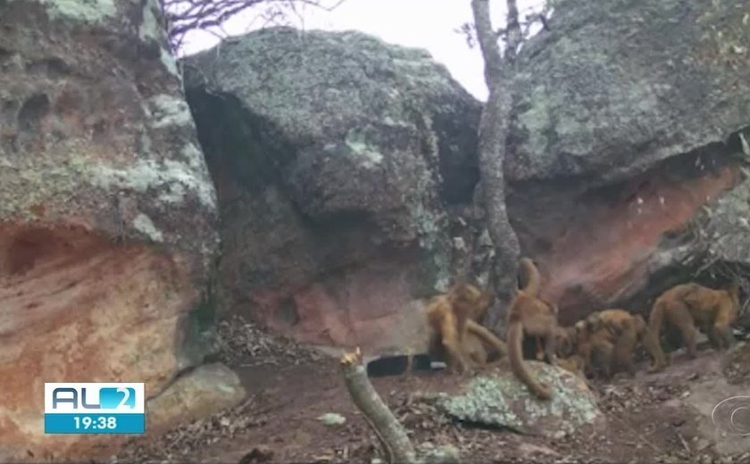 Cepram tem denúncias sobre extração ilegal de areia na Serra do Parafuso