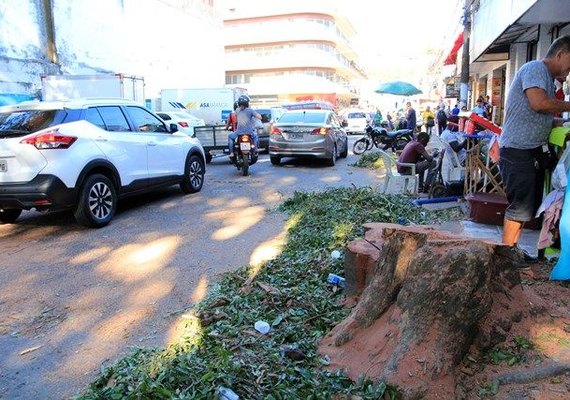 Paisagem histórica sofre alterações com retirada de árvores centenárias no Centro