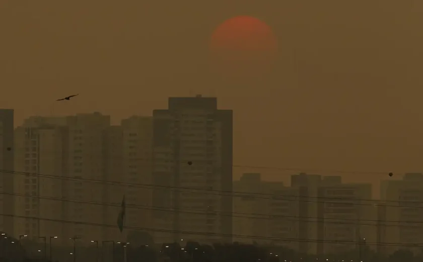 Concentração de gases do efeito estufa atingem níveis recordes