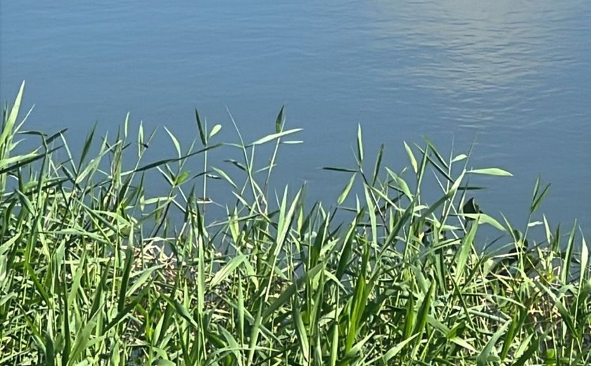 Corpo de homem é encontrado no Lago da Perucaba, em Arapiraca