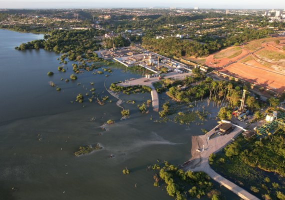 MPF quer revitalização de manguezais da Lagoa Mundaú