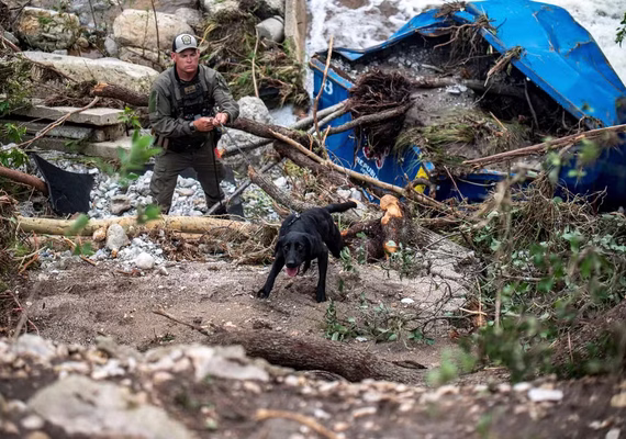 Acampamento de verão anuncia 27 mortes de meninas e monitoras por enchentes no Texas; mais de 80 morreram no estado