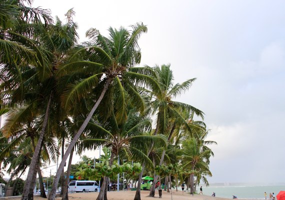 Inmet alerta para risco de vendaval e ventos costeiros  em cidades alagoanas