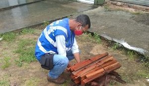 Lenhas e fogos de artifício são apreendidos em fiscalização