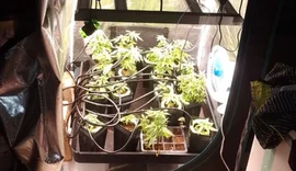 Laboratório de drogas é descoberto pela Polícia Civil em condomínio de Maceió