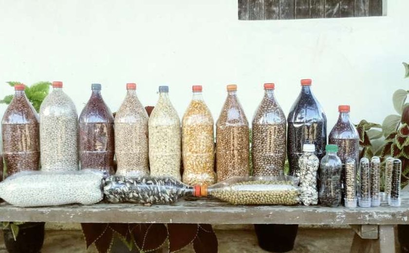 Seagri realiza parceria com cooperativas para capacitação e compra de sementes crioulas