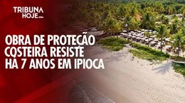 Obra de proteção costeira completa 7 anos resistindo ao avanço do mar