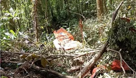 Avião da FAB que desapareceu é encontrado em SC; dois ocupantes morreram