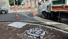 Parque luminoso do Jaraguá é reforçado para o Verão Massayó