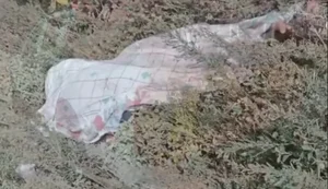 Corpo de idoso é encontrado às margens da BR-101, em São Sebastião