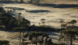 Serra catarinense registra -7,4ºC, menor temperatura do ano no Brasil