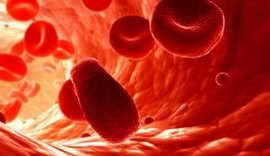 Dia Nacional da Hemofilia: Hematologista explica sintomas e como controlar a doença