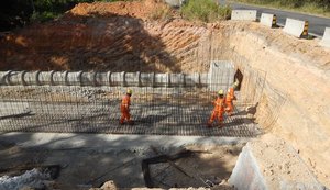 DNIT avança na instalação de passagens de fauna nas obras de duplicação da BR-101 em AL