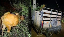 Trio é preso suspeito de integrar quadrilha especializada em furto de gado no Sertão de Alagoas