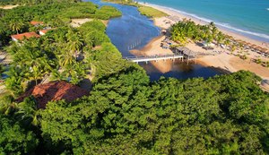 A luta para manter os manguezais de pé em Alagoas