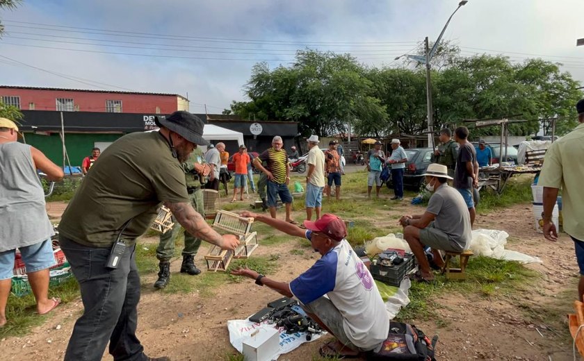 Em feira de Delmiro Gouveia, FPI do Rio São Francisco resgata pássaros silvestres