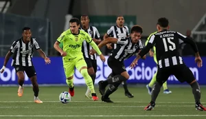 Palmeiras vira de forma histórica contra o Botafogo e reduz vantagem alvinegra na liderança