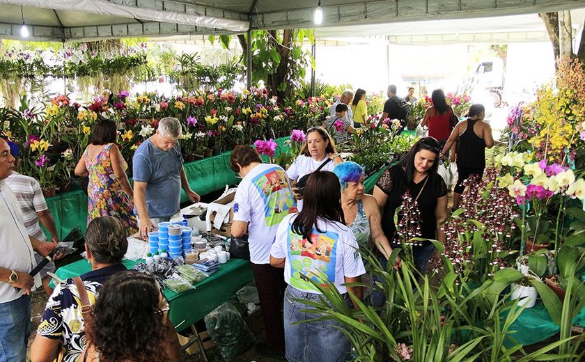 Exposição de orquídeas e bromélias põe à venda mais de seis mil plantas