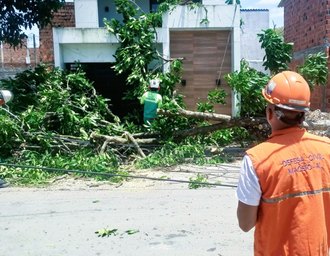Defesa Civil de Maceió registra três ocorrências após ventos fortes no fim de semana
