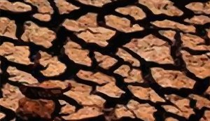 MPC/AL e Semarh realizam I Seminário de Combate à Desertificação