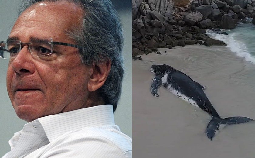 'Brasil é uma baleia ferida que não consegue se mover', diz ministro Paulo Guedes