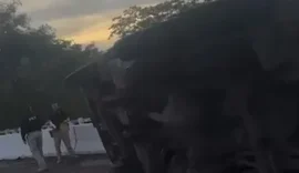 Carreta com carga de ração tomba na BR-101 e carga é saqueada no interior de Alagoas