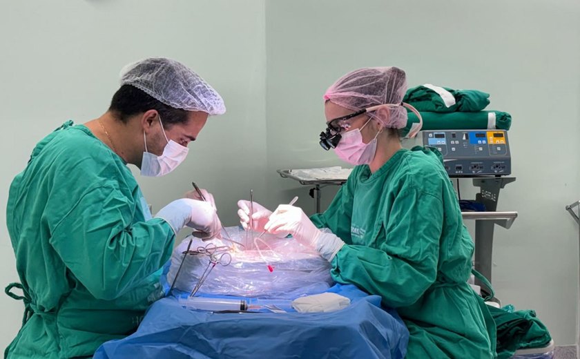 Hospital do Coração Alagoano realiza três transplantes no mesmo dia e transforma a vida de pacientes alagoanos