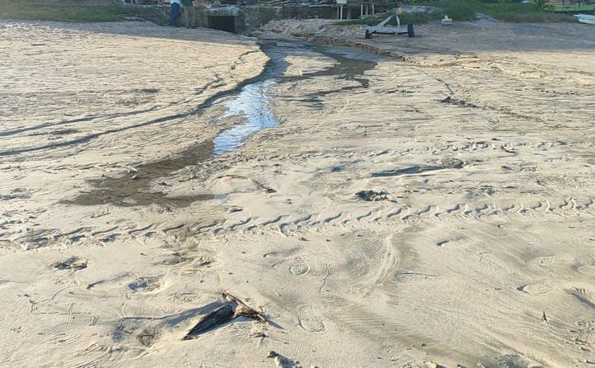 IMA autua Prefeitura de Maragogi e Verde Ambiental por lançamento de efluente no mar