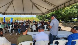 Pindorama promove Dia de Campo para colheita em lote experimental de arroz de sequeiro