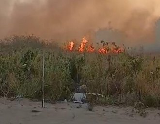 Incêndio em vegetação é registrado em Guaxuma; homem acaba preso