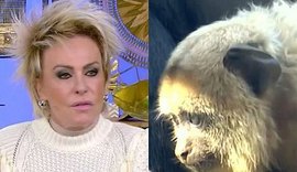 Ana Maria Braga pede desculpas e anuncia demissão de funcionário do Mais Você: 'Imperdoável'