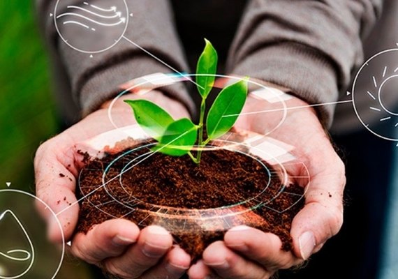 Saúde fortalece ações de Vigilância Ambiental em 2025