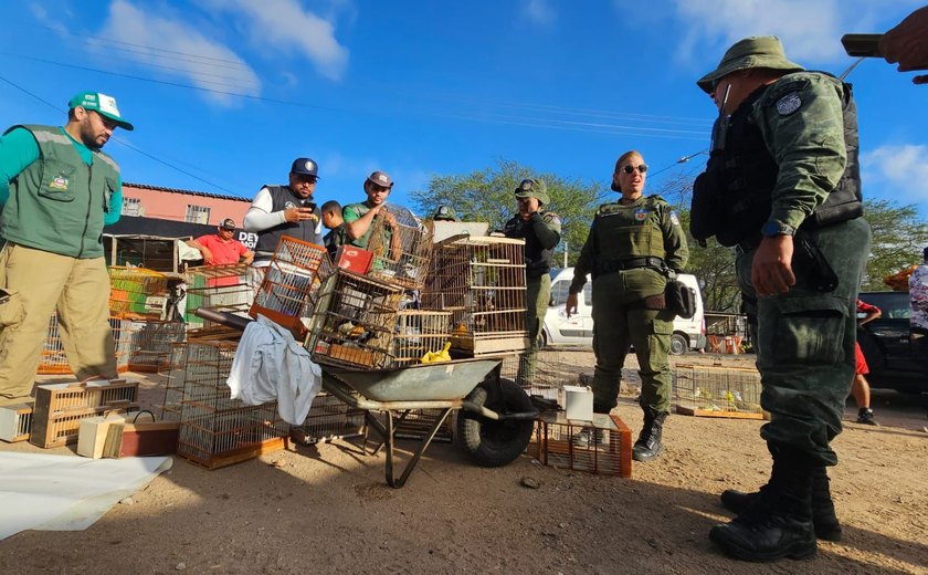 FPI resgata aves em feira livre na cidade de Delmiro Gouveia
