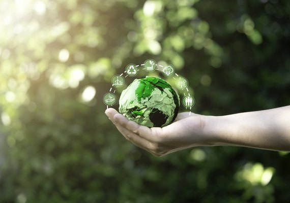 ABNT abre consulta pública sobre norma para diretrizes de sustentabilidade do Programa Selo Verde Brasil