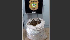 Homem que trazia droga de Pernambuco para Alagoas é preso em operação integrada