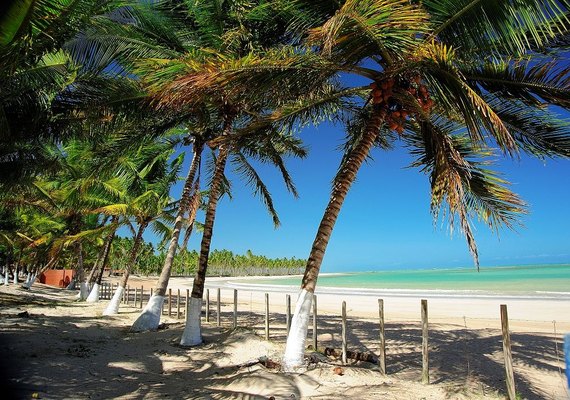 Atração no Estado de Alagoas integra projeto ministerial de turismo rural