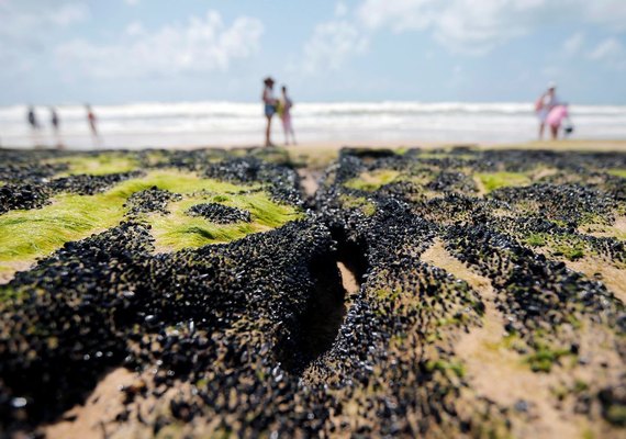 Estudo da UFRJ aponta que óleo pode ter saído de área a 700 km da costa brasileira