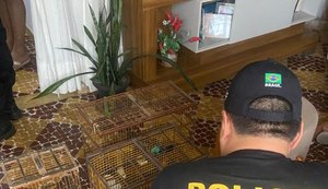 PF investiga o desvio de aves de um zoológico em Alagoas