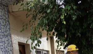 Homem é detido por furtar material de casa em reforma