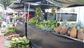 MST comercializa 458 toneladas de alimentos durante feira em Maceió