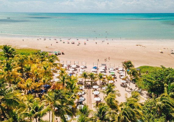 Mar & Cia e Hibiscus agora são o Grupo Hibiscus