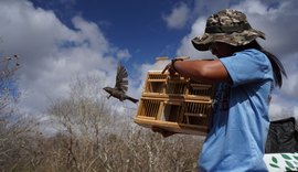 FPI 2023 realiza sua primeira soltura com 180 aves