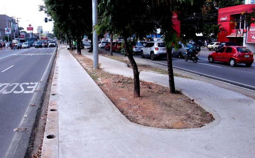 Obras da ciclovia avançam na Avenida Fernandes Lima