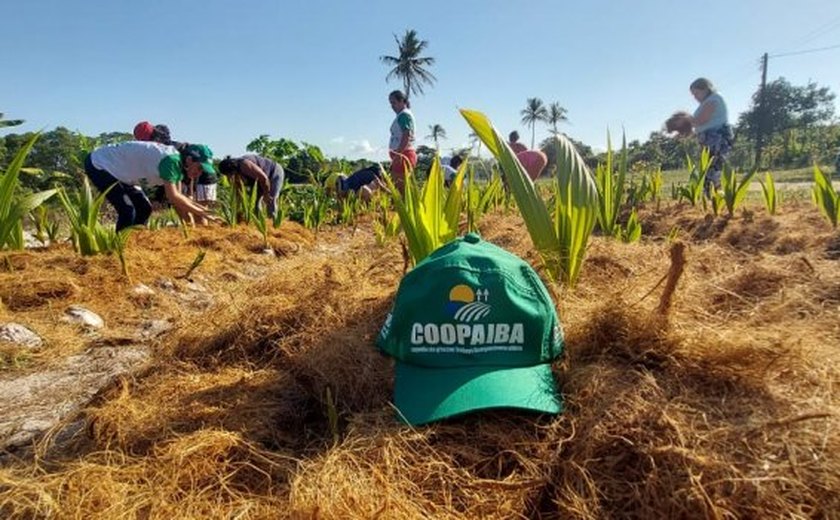 Coopaiba lidera movimento pela criação de uma nova Rota de Produção Agrícola