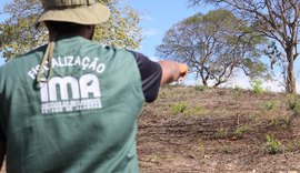 Polícia Civil indicia hotel e funcionários por crime ambiental