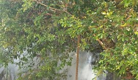 Incêndio é registrado em Área de Preservação Ambiental de Fernão Velho