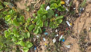 Microplásticos: uma ameaça invisível à saúde e ao meio ambiente