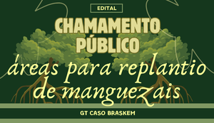 MPF abre chamamento para identificar áreas destinadas à recuperação de manguezais em Alagoas